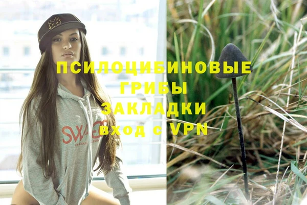 МДПВ Белокуриха